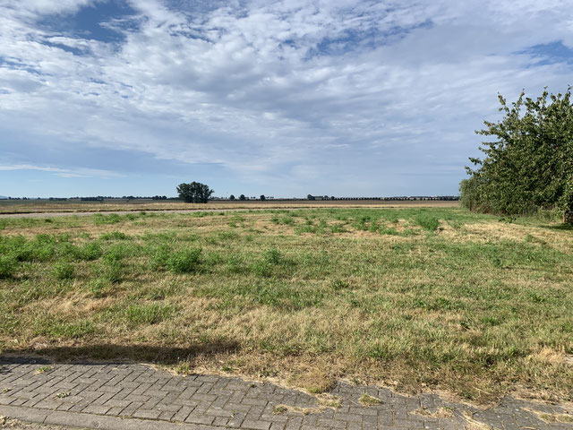 RMI Immobilien GmbH Dargun